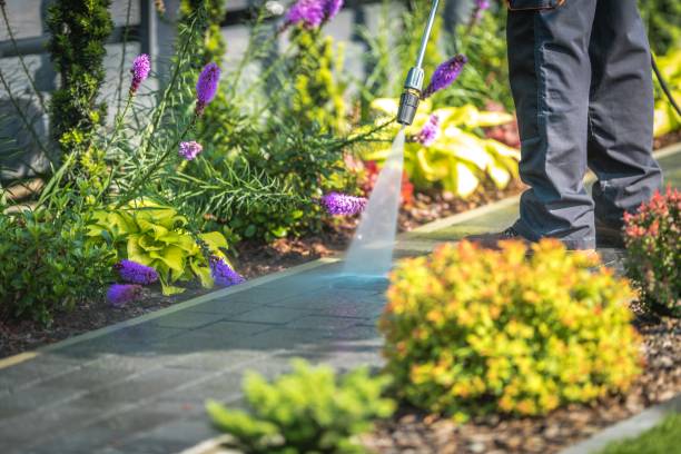 Best Dumpster Area Cleaning  in Cypress Lake, FL